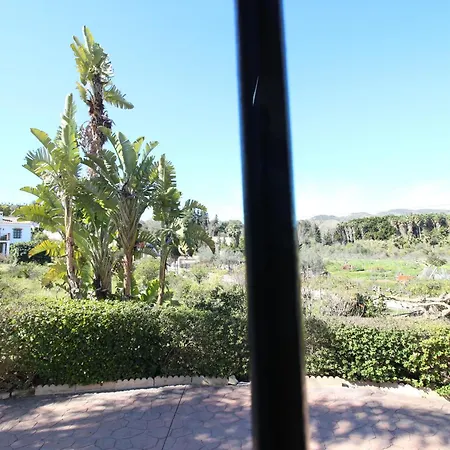 El Paraiso Tropical En Malaga