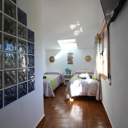 El Paraiso Tropical En Malaga Villa Alhaurín de la Torre