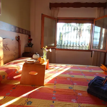 El Paraiso Tropical En Malaga * Alhaurín de la Torre